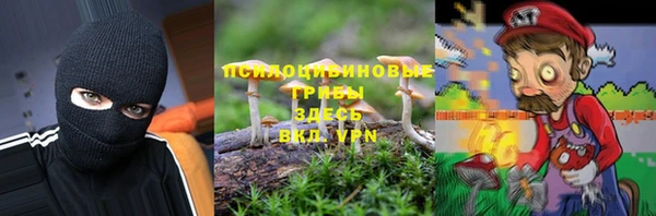 дмт Переславль-Залесский