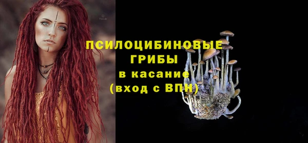 дмт Переславль-Залесский