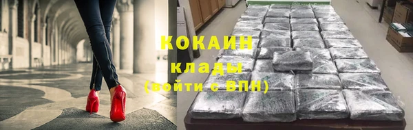 молекула духа Пестово