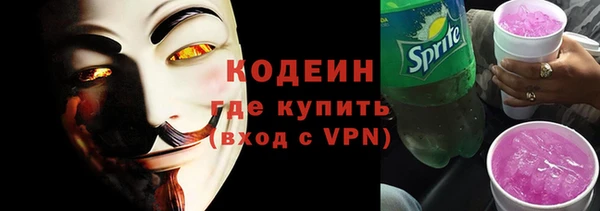 молекула духа Пестово