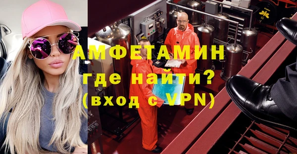 МДПВ Пересвет