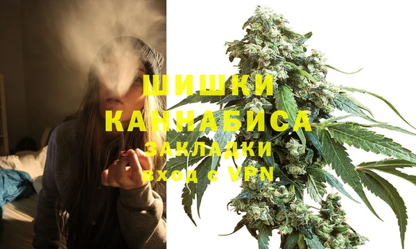 дмт Покровск
