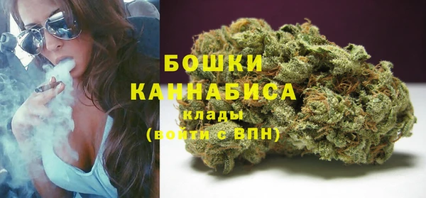 молекула духа Пестово