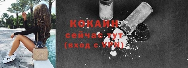 молекула духа Пестово