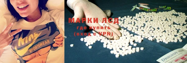 МДПВ Пересвет