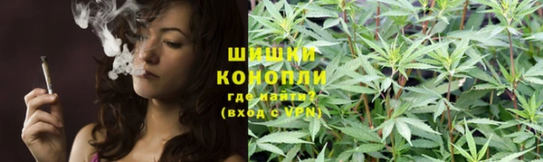 дмт Переславль-Залесский