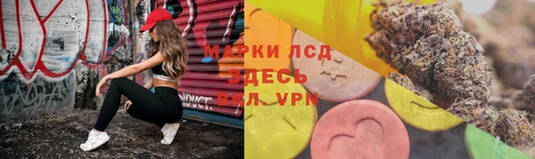 дмт Покачи