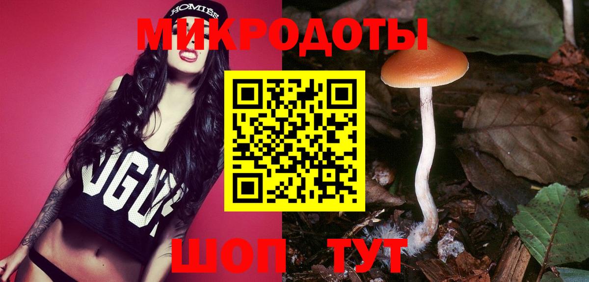 Псков  Галлюциногенные грибы мухоморы  Вход с VPN 